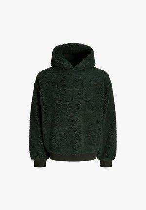Hoodie en polaire verte avec une surface texturée et pelucheuse, une grande capuche, et des poignets et un ourlet côtelés. Présente un petit logo à l'avant.