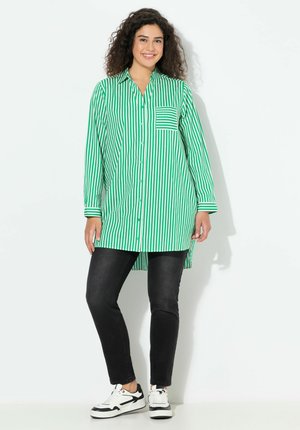 STREIFEN, HEMDKRAGEN, A-LINIE, LANGARM - Paitapusero - emerald green