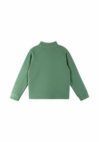 Pullover in pile verde con colletto alto, maniche lunghe e polsini a costine. Tessuto morbido e design semplice, con maniche raglan.