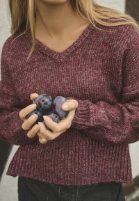 Burgundy stickad tröja med V-ringning, strukturerat mönster, ribbade mudd och nederkant. Händer håller flera mörklila plommon.