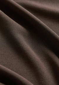 REGULAR FIT - SLEEVLESS - Tops - chocolate brown