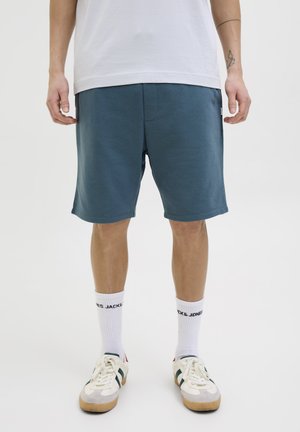 JPSTGORDON BRADLEY MID NOOS - Pantalones deportivos - oceanview