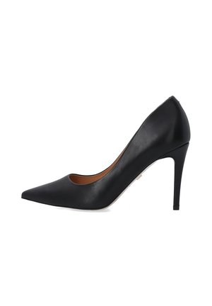 Black leather pump with a pointed toe and low cut vamp, featuring a stiletto heel and smooth texture. Simple design, no visible accents.