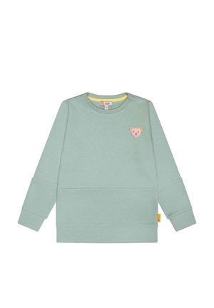 Light green sweatshirt featuring soft fabric, ribbed texture, round neckline, and a small embroidered bear face on the chest.