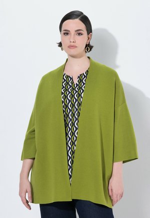 Groene, open voorkardigan met brede mouwen en een zachte textuur. Daaronder een geborduurde top in donkerblauw, wit en groen met een V-hals.