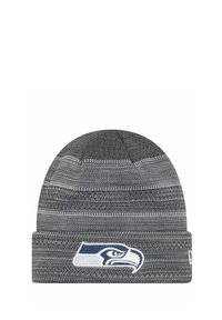 Gray beanie with ribbed texture and horizontal stripes. Features an embroidered Seattle Seahawks logo on the front cuff.