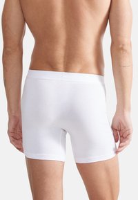Witte katoenen boxershorts met een zachte elastische tailleband, met een nauwsluitende pasvorm en gladde textuur, gezien vanaf de achterkant.