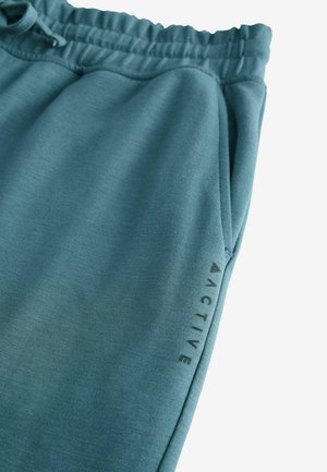 Teal sweatpants lavet af blødt stof med en elastisk talje, der har en sidelomme og "ACTIVE" grafik trykt på benet.