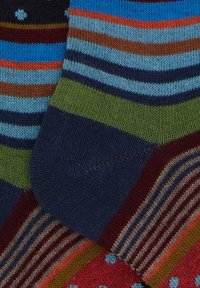 Calzini multicolori con una combinazione di motivi a righe e a pois. I materiali sembrano lavorati a maglia con diverse bande colorate tra cui blu, verde e marrone scuro.