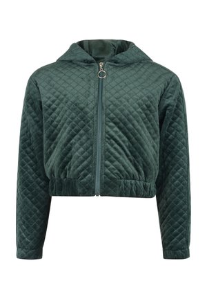 Giacca a cappuccio trapuntata di colore verde scuro. Presenta una chiusura frontale con zip, orlo a coste e una morbida texture vellutata con motivo a rombi.