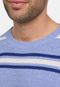 Maglione azzurro chiaro con un motivo testurizzato, caratterizzato da strisce orizzontali in blu scuro e bianco. Collo a giro in costina e maniche corte.