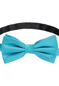 Turkos satäng fluga med ribbad textur, utställd med ett centralt band för säker fastsättning och ett smidigt justerbart svart bälte.