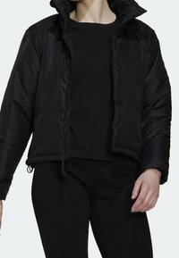adidas Performance Chaqueta de invierno - black