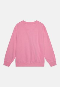 Roze sweatshirt met een ronde hals, lange mouwen en geribbelde manchetten. Zacht materiaal met een gladde textuur en nette naden.