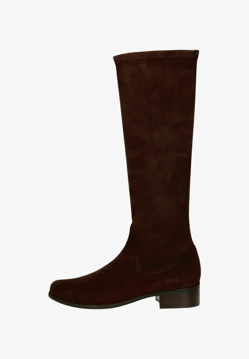 Bottines en suede marron, haute jusqu'au genou, avec un bout légèrement arrondi, des coutures minimales et un talon empilé, présentant une texture lisse et sans équipement visible.