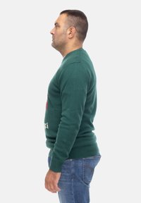 Maglione verde lavorato a maglia con polsini e orlo a coste, dotato di un design sulla parte anteriore. Indossato sopra jeans blu, mostrato di lato.