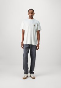Tommy Jeans CREST FLAG TEE - Nyomott mintás póló - ancient white