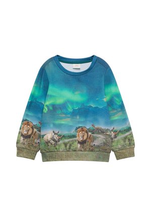 Sweatshirt - neon
