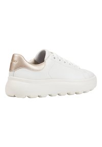 Baskets en cuir blanc avec une semelle épaisse blanche, présentant un accent métallisé doré sur le talon et six paires d'œillets pour les lacets.