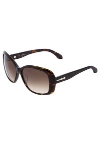 calvin klein havana glasses