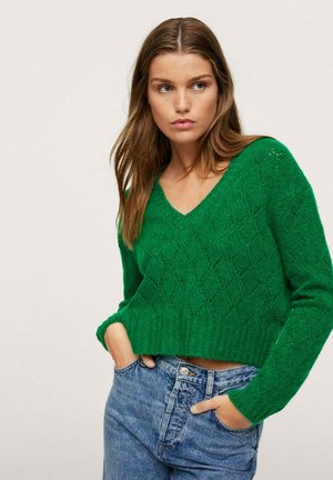 FUJI - Pullover - groen