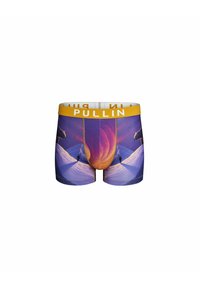 Boxers pour hommes avec une ceinture jaune portant l'inscription "PULLIN". Présentent un design paysager vibrant avec des montagnes et un ours polaire.