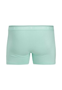 Caleçon vert menthe en coton doux, doté d'une ceinture élastique blanche avec le texte "JACK & JONES".