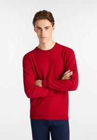 Red knit sweater with a crew neck and long sleeves, featuring a subtle logo detail on the chest and ribbed cuffs and hem.