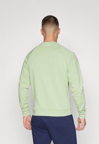 Felpa leggera verde chiaro con maniche lunghe a raglan e polsini a coste, caratterizzata da un collo rotondo e un orlo dritto.