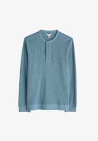 Kijelölve, blue hydrangea