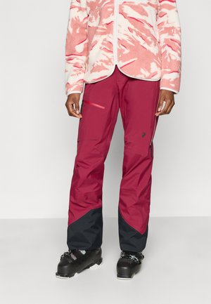 ALPINE GORE-TEX PANTS - Smučarske hlače - vertical zenith