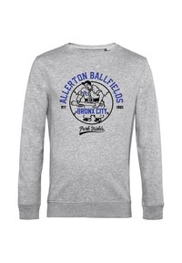 Grijze sweatshirt met lange mouwen. Heeft een ronde graphic met tekst en een cartoonfiguur die een skateboard vasthoudt. Geribbelde manchetten en zoom.