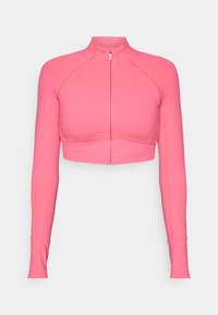 Selected, pink cactus