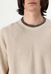 Beige pletený svetr s texturovaným vzorem, se zaobleným hnědým žebrovaným výstřihem a raglánovými rukávy pro pohodlný střih.