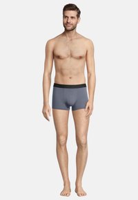 Gray boxer briefs with a black waistband, featuring a fitted design and smooth texture. Model stands barefoot with arms relaxed at sides.