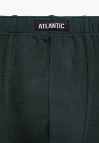 Ciemnozielona bielizna o miękkiej teksturze, z czarną metką z napisem "ATLANTIC" na pasie. Prosty, elastyczny fason.