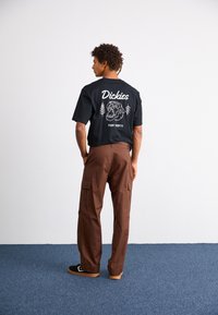 Champion Rochester SKATE STREET - Calças cargo - ken