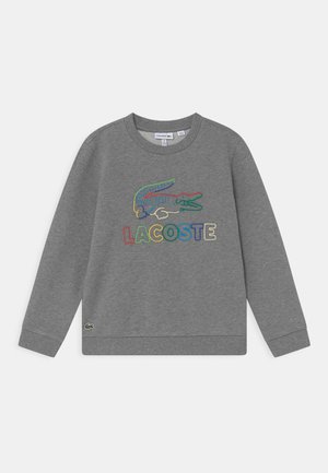 UNISEX - Felpa - heather wall/multi-coloured