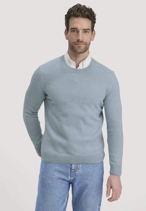 Hellblauer Pullover aus gestricktem Material mit Rundhalsausschnitt und gerippten Bündchen, kombiniert mit hellblauen Jeans.