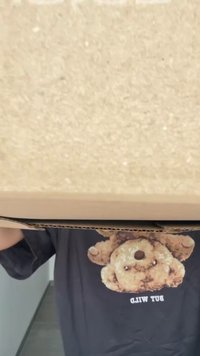 Caixa de cartão castanho segurada com duas mãos, mostrando uma superfície texturizada. Uma camisa preta com um gráfico de urso está parcialmente visível.