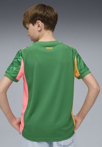 Maglia sportiva verde con dettagli in rosa e arancione, caratterizzata da maniche texturizzate e un'etichetta "Milan" sul retro. Materiale in poliestere.