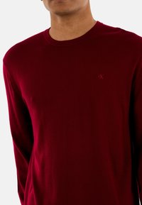 Mann in einem schlichten bordeauxroten Langarmpullover mit einem kleinen eingeprägten Logo auf der linken Brust vor einem weißen Hintergrund.