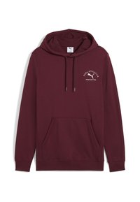 Maron farvet hættetrøje lavet af blødt stof. Har en front kangaroo lomme, snoretræk til hætten og et broderet logo i hvid.
