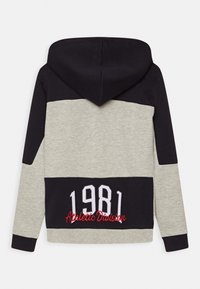 Sweat-shirt à capuche avec un design color block en gris et bleu marine, avec "1981" et "Division Athlétique" brodés en rouge au dos.