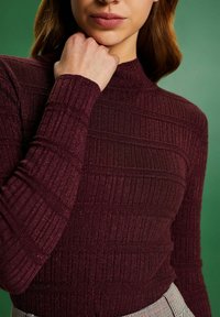 Bordeaux ribbelgebreide pullover met een hoge hals. De textuur bevat subtiele sprankels. Aansluitende pasvorm. G gedragen met een geruite onderkant.