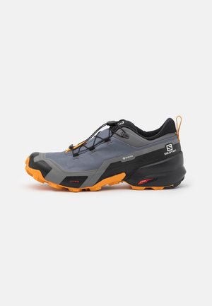 CROSS HIKE GTX - Hiking shoes - quiet shade/black/buttersco