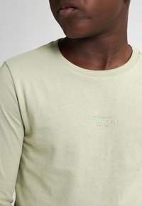 Lange mouwen, lichtgroen katoenen t-shirt met een ronde hals en subtiel "Petrol Ind." logo opgedrukt op de borst. Zachte textuur.
