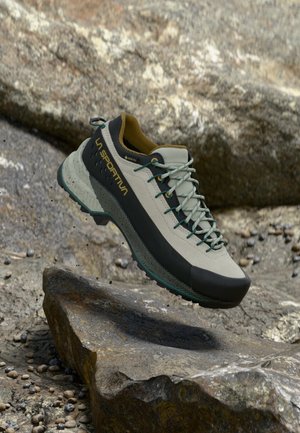 TX4 EVO WOMAN GTX - Outdoorschoenen - mineral/savana