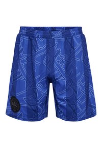 Blå badshorts med ett geometriskt mönster i ljusare blå. Elastisk midja med en svart logotypdetalj på vänster ben.
