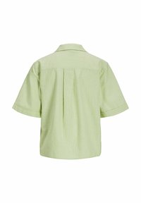 Camicia verde a maniche corte con strisce bianche verticali, design con colletto, dettaglio plissettato sul retro e tessuto texturizzato.